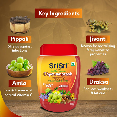 Sri Sri Tattva Chyawanprash 500g
